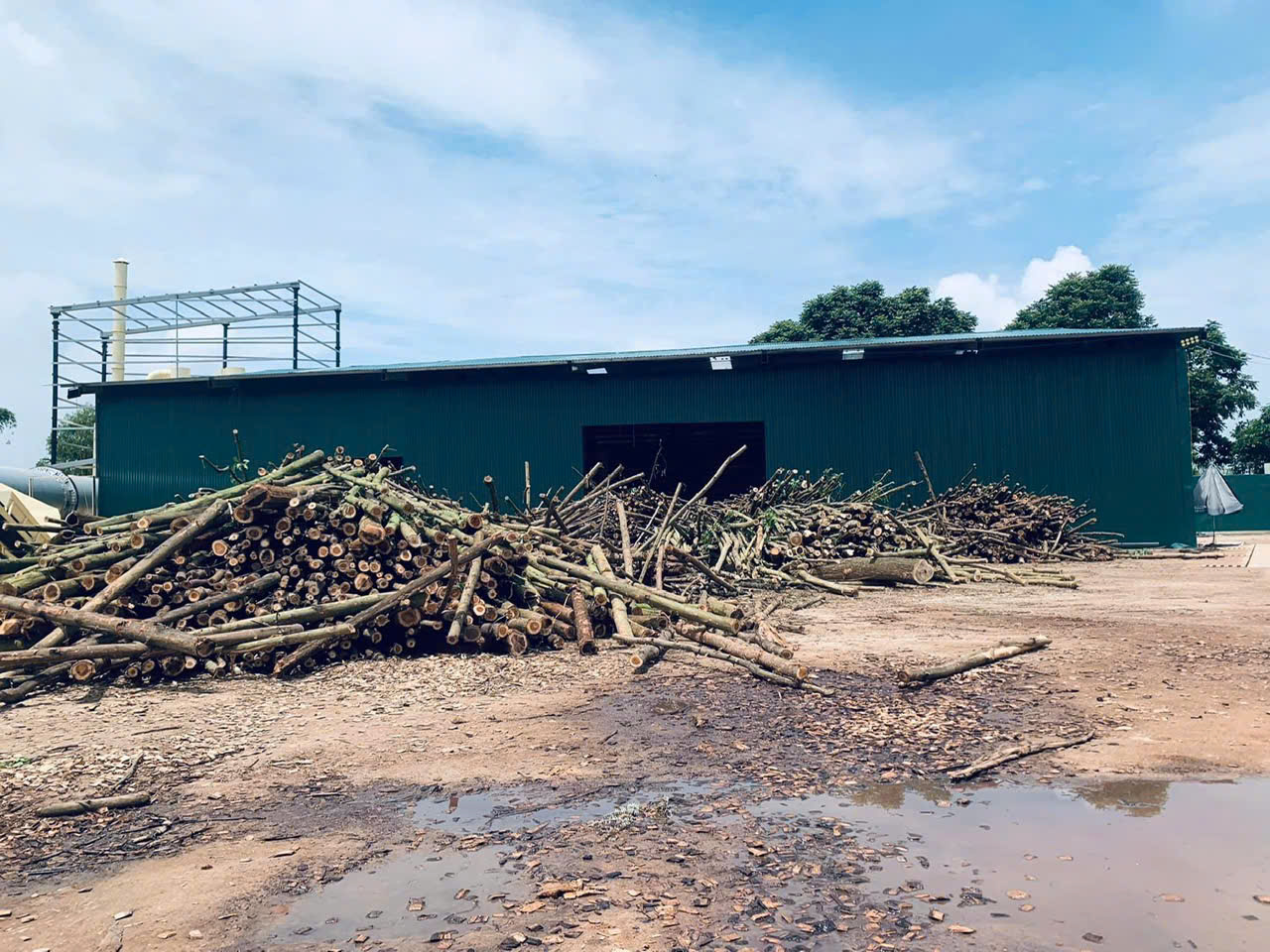 VIÊN GỖ NÉN (WOOD PELLET)